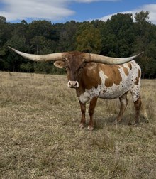 KCCI Prized Possession